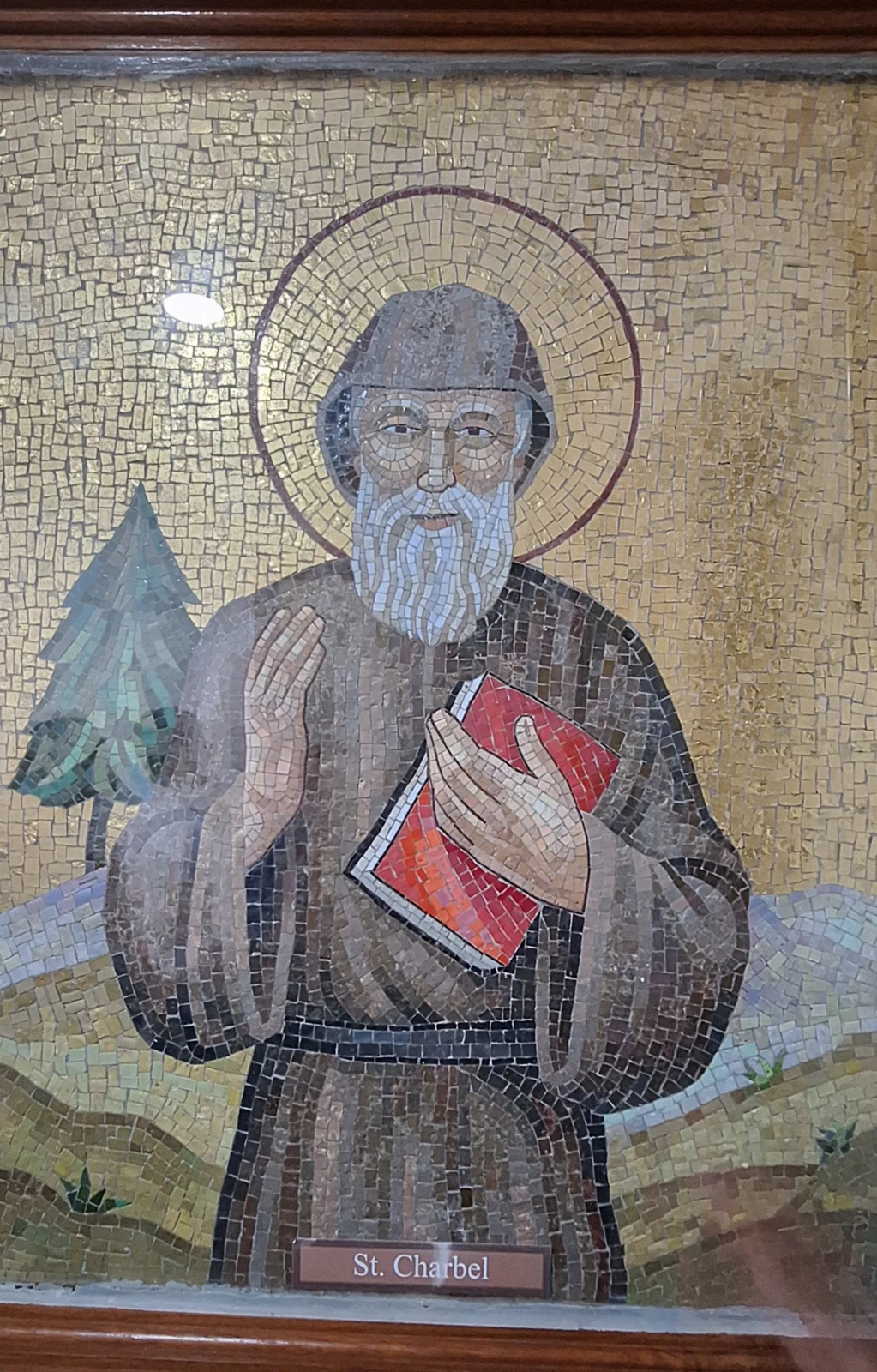 Imagem de São Charbel Makhlouf